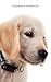 Password notebook: Small internet address and password logbook / journal / diary - Golden Retriever puppy cover (Dog lover's notebooks) by Keep Track Books