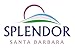 Splendor Black Activated Charcoal Soap Bars - Unscented, Natural, Cold-Process, Odor-Neutralizer, Handmade, Vegan, for Skin Hand Body and Face