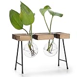 MyGift 2-Glass Beaker Bulbs Terrarium Planter Set with Rustic Wood Stand