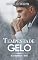 Livro Tempestade de Gelo: Os 4 elementos Livro 1