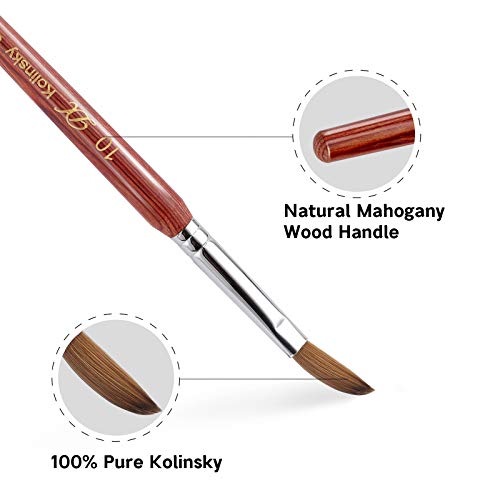 PHOEBE Acrylic Nail Brush for Acrylic Powder (Size 8) 100% Pure Kolinsky Sable Acrylic Nail Brush with Red Wood Handle Professional Nail Art Brush