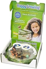 Insect Lore Giant Butterfly Garden with Caterpillars & Lifecycle Stages view 2
