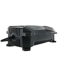Ryobi P118   Cargador de batería de litio para 1 batería de 18 V (no incluye batería, solo cargador)