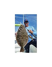Carrete de pesca giratorio Penn Battle II