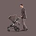 Britax Affinity Color Pack, Fossil Brown