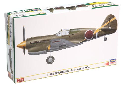 P-40E Warhawk [Prisoner of War] (Plastic model)