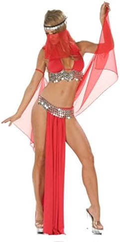 Inc Sexy 5PC Bellydancer Costume Set