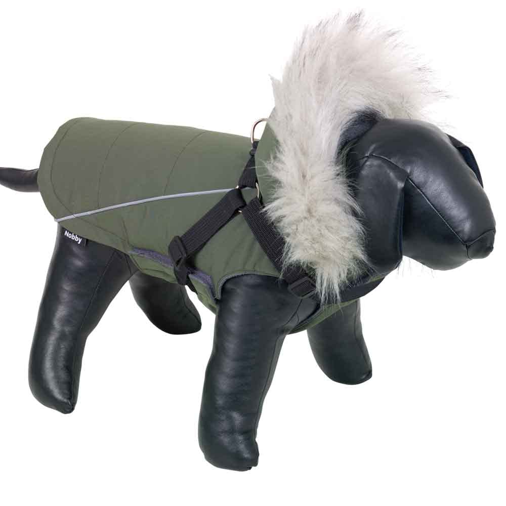 Nobby Mily 2-in-1 Dog Coat, Green, 36 cm, Pack of 1