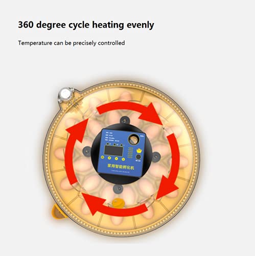 ALWUDI 48 Eier MotorbrüTer HüHner, 360-Grad-Ansicht Mini voll Eier Automatischer Brutapparat Brutmaschine für Hühner… – Bild 6