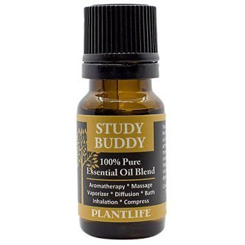 Study buddy - 100% pure essential oil blend