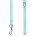 Blueberry Pet Essentials Mint Blue Dog Leash for Large - 4' * 1