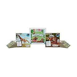 Green Board Games BrainBox