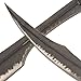 300 Movie Spartan King Leonidas Sword