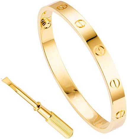 Haoze Love Bracelet Screw Bangle Bracelet with Screwdriver for Valentines Wedding