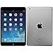 Apple iPad Air MD785LL/B 9.7-Inch 16GB Wi-Fi Tablet (Black with Space Gray) (Renewed)