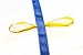 Toddler Walking Rope For Preschoolers By Walk'n'Line, 12 Handle Colored Kids Safety Leash And Drill Buddy Suitable For Childcare Providers And Schools - FREE CARRY PACK !
