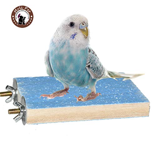 Colorful Bird Perch Stand Platform Natural Wood Playground Paw Grinding Clean for Pet Parrot Budgies Parakeet Cockatiels Conure Lovebirds