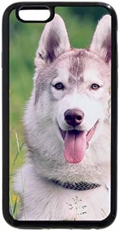 iPhone 6S Plus Case, iPhone 6 Plus Case, Siberian Husky