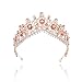 Tgirls Baroque Bridal Wedding Crowns and Tiaras Bride Princess Flower Rhinestone Headband Jewelry for Women and Girls (Rose Gold)