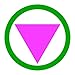 Safe Zone - Straight Ally Pink Triangle Green Circle - GSA Gay Straight Ally - Gay Rights LGBT Support - Vibrant Color Vinyl Decal (4