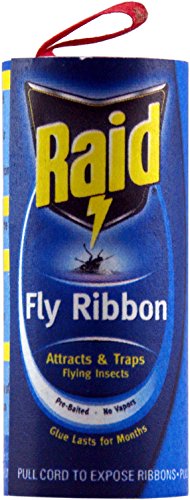 Fly Ribbon, 10Count