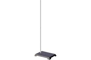 stonylab Lab Stand, 200 x 135 mm (8 x 5 inch) Cast Iron Support Ring Stand with 570 mm (22.44 inch) Rod for Laboratory