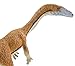 Safari Ltd. Coelophysis Figurine - Detailed 7.25