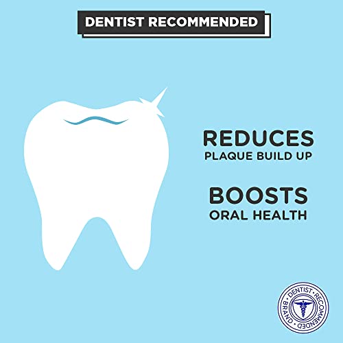 PUR Mints Sugar Free Mints 100 Xylitol Vegan, Aspartame Free