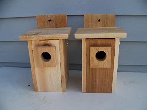 Amazon.com: Bluebird Houses (2 pack) with top opening : Handmade Products