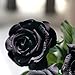 famibay 10pcs Artificial Flowers Rose Bouquets Vintage Fake Silk Rose Flowers with Leaf and Plastic Stem for Home Wedding Party Mother’s Day Garden Hotel Decoration Black