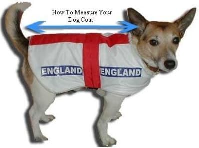 everton dog coat