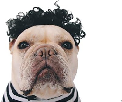 エスライフ S Lifeeling ペット用品 かつら 面白い かわいい かっこいい コスチューム 犬 中型犬 ソフト 限定特価 散歩 小型犬 猫 変身服 出掛け