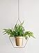 RISEON Set of 2 Boho Brass Gold Geometric Metal Plant Hanger,Hanging Plant Pot, Modern Planter, Mid Century Plant Holder, Minimalist Planter for Indoor Outdoor Home Wedding Decor (Gold)