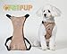 Comfortable & Adjustable Dog Harness by PetPup | Medium Size - Gray Color | Reflective | Safety Car Harness for Dogs | Easy Walk Dog Harness | Lightweight & Breathable Safety Strap Harness for Dogs
