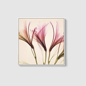 Framed Canvas Home Artwork Decoration Beautiful Flower Canvas Wall Art for Living Room, Bedroom - 16x16 inches