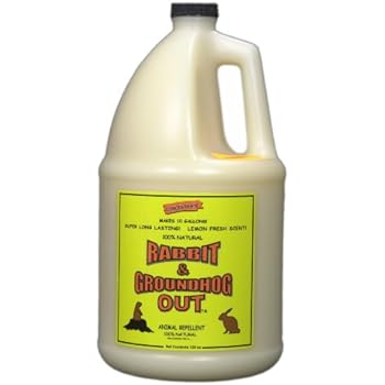 Amazon.com : Rabbit & Groundhog Repellent: Rabbit Out 1 Gallon