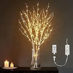 LITBLOOM Lighted White Birch Twig Branches 30IN 150