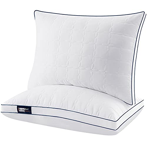 BedStory Hotel Collection Pillows 2 Pack Queen Size, Hypoallergenic