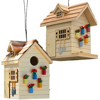 Amazon.com : Bird House Kit #65003 Home Depot : Bird House Kits For