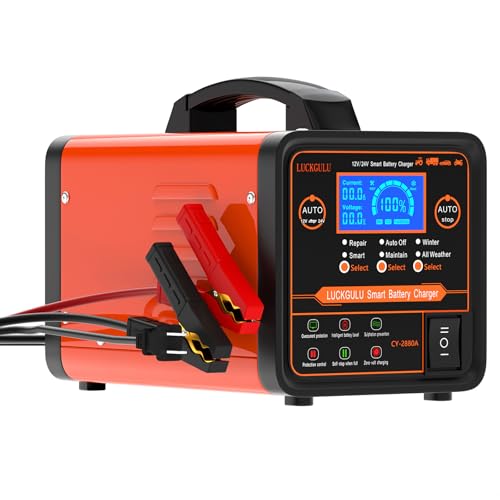 Caricabatterie Auto 12V/24V 20A Professionale, Caricatore e Mantenitore Automatico con Modalità Riparazione, Programma Invernale, Arresto Automatico,Ricarica Rapida per Auto,Camion,Moto,Camper