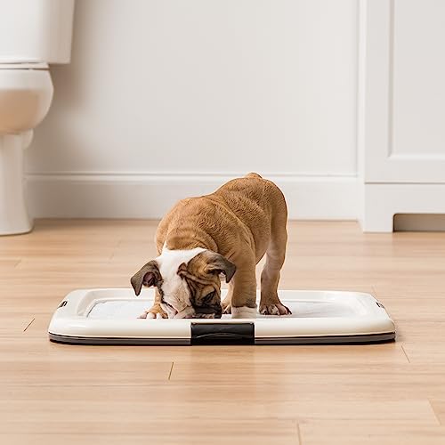 IRIS USA Soporte para tapetes de orina de Perro y Cachorro, Seguro, Antideslizante, fácil de Limpiar, Evita Fugas, para tapetes de 56x56 cm o más, Cuadrado, Gris Oscuro