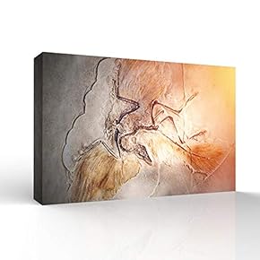 Canvas Wall Art - Vintage Animal Fish Fossil Living Room Poster Prints - Modern Home Art Stretched and Framed Ready to Hang - 12x18 inches