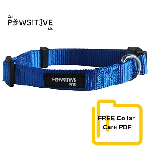Dog Collar, Buy a Collar. Feed a Dog. The Pawsitive Co Durable Nylon Puppy and Dog Collar with Chrome Plated D Ring – Medium – Blue