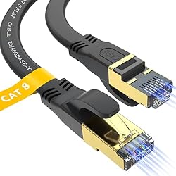 Cat 8 Ethernet Cable 6 FT, Outdoor&Indoor High