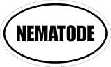 Any and All Graphics NEMATODE 6" Magnet of Oval