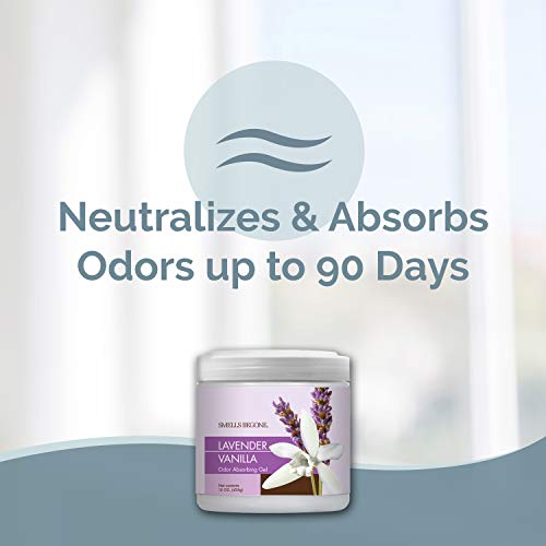 Smells Begone Air Freshener Odor Absorber Gel - Absorbs Odor from Bathrooms, Cars, Pet Areas, Boats  - //coolthings.us