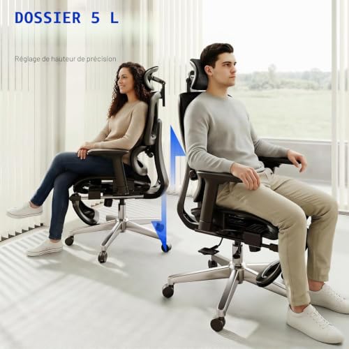 FLEXISPOT ErgoX Office Chair, 3D Armrests, Ergonomic Mesh Swivel Chair Height Adjustable with Headrest and Independent Lumbar Support, Grey