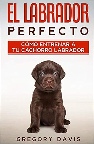El Labrador Perfecto Como Entrenar A Tu Cachorro Labrador Spanish Edition Davis Gregory Amazon Com Books