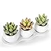 MyGift Set of 3 Realistic Artificial Succulent Planters w/Round White Ceramic Pots & Decorative Display Tray