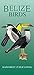 Belize Bird Guide (Laminated Foldout Pocket Field Guide) (English and Spanish Edition)